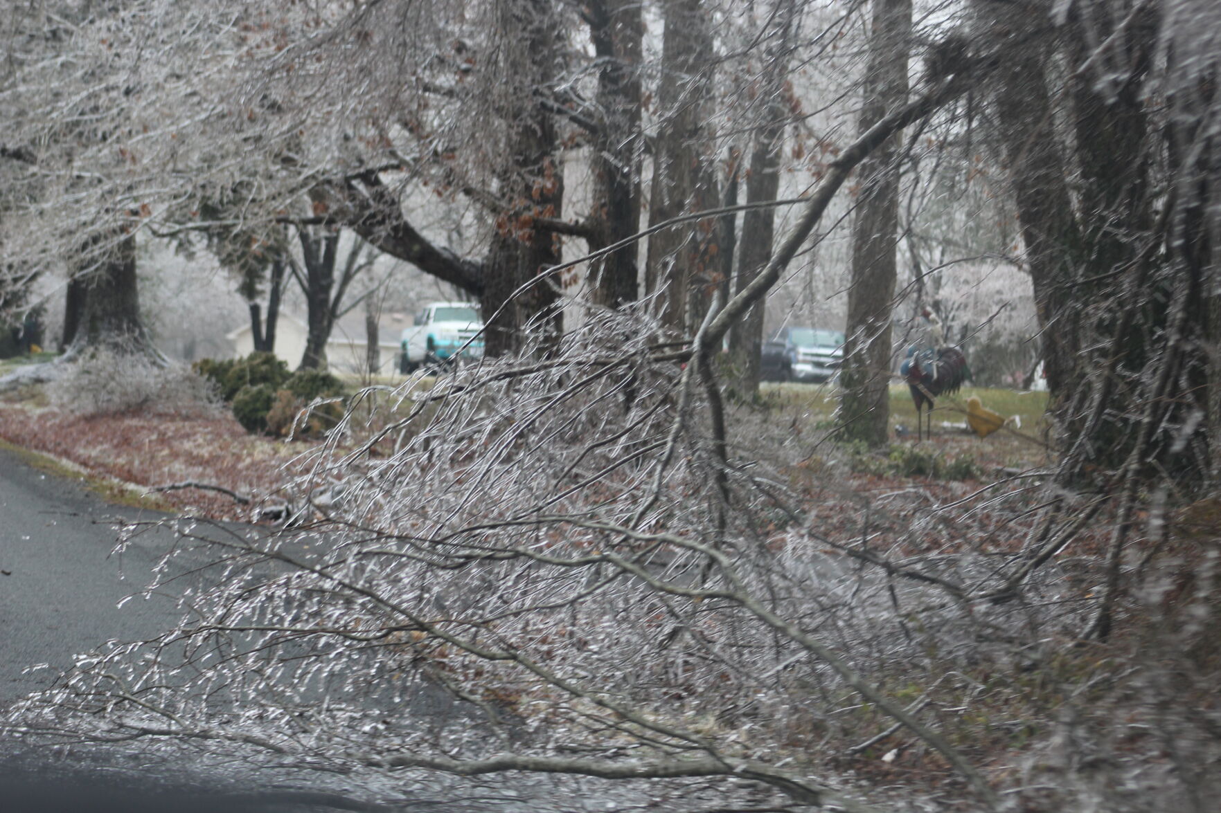 Branches in Hundley Road